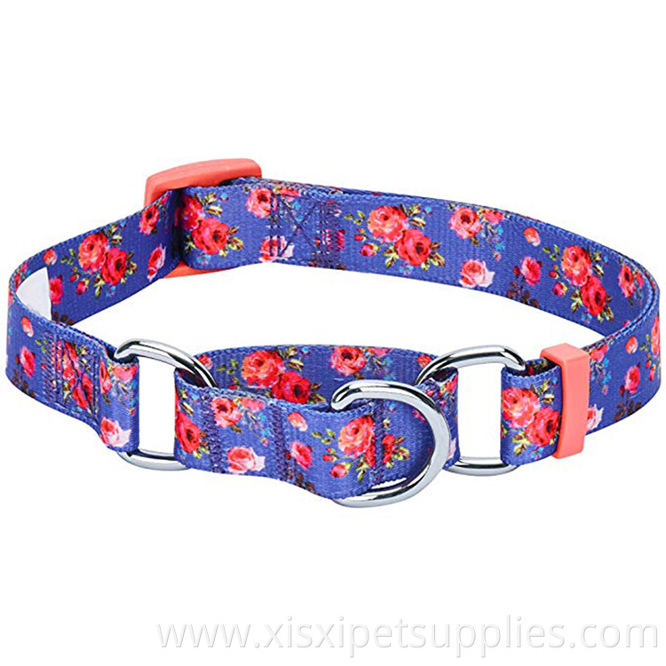 Hot Selling Personalized Sublimation Blank Pet Collar Dog Collar